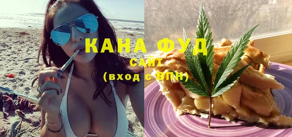 молекула духа Горнозаводск