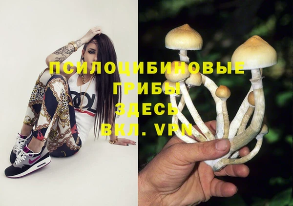 MESCALINE Горняк