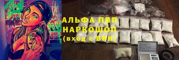 молекула духа Горнозаводск